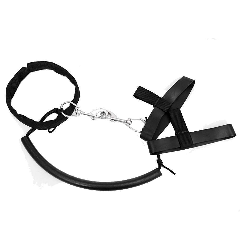 1 Piece Scuba Diving Tank Cyli - Aquatic Diving ulasan dan harga